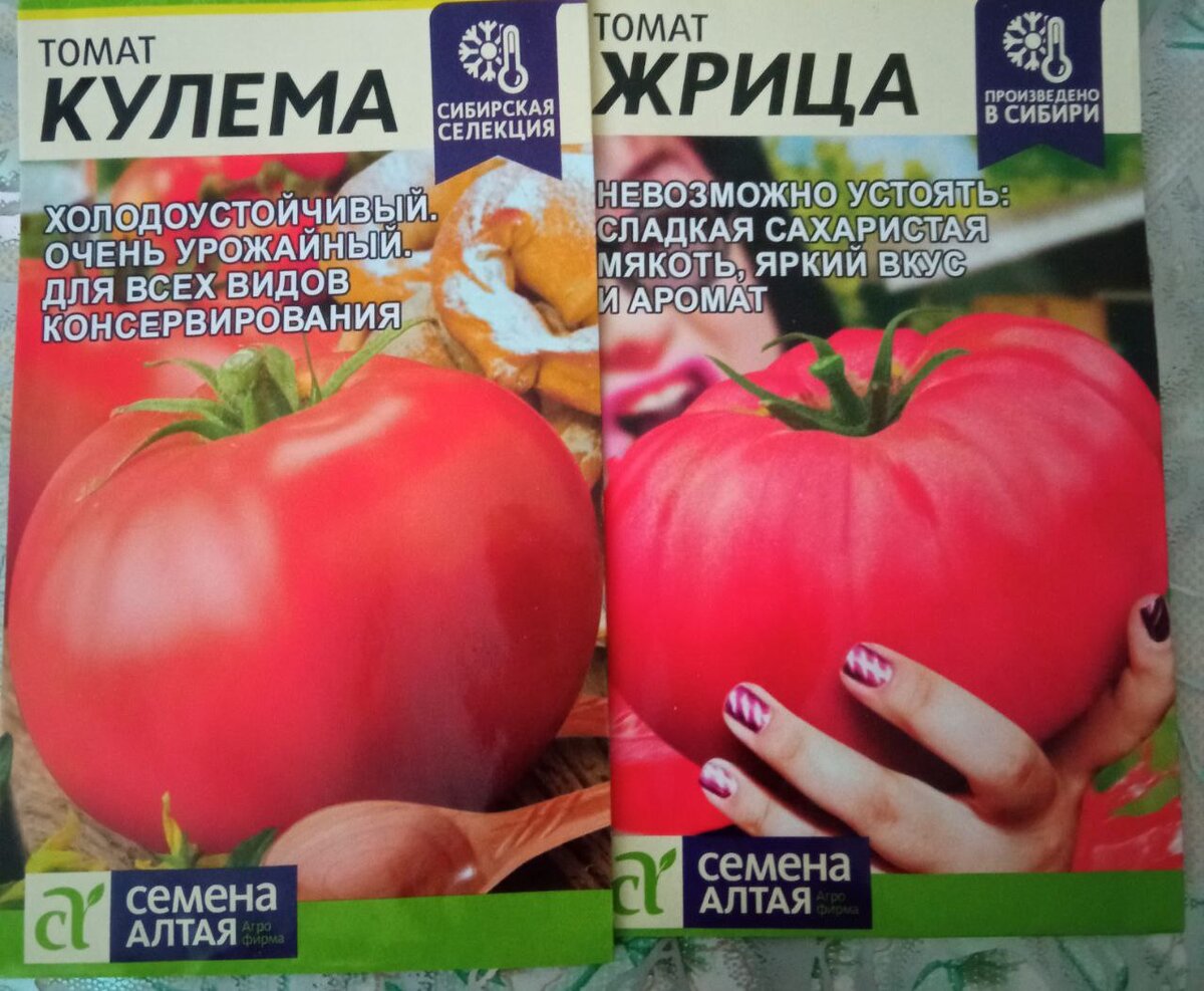 Сибирская селекция. Холодоустойчивы. Фото автора.