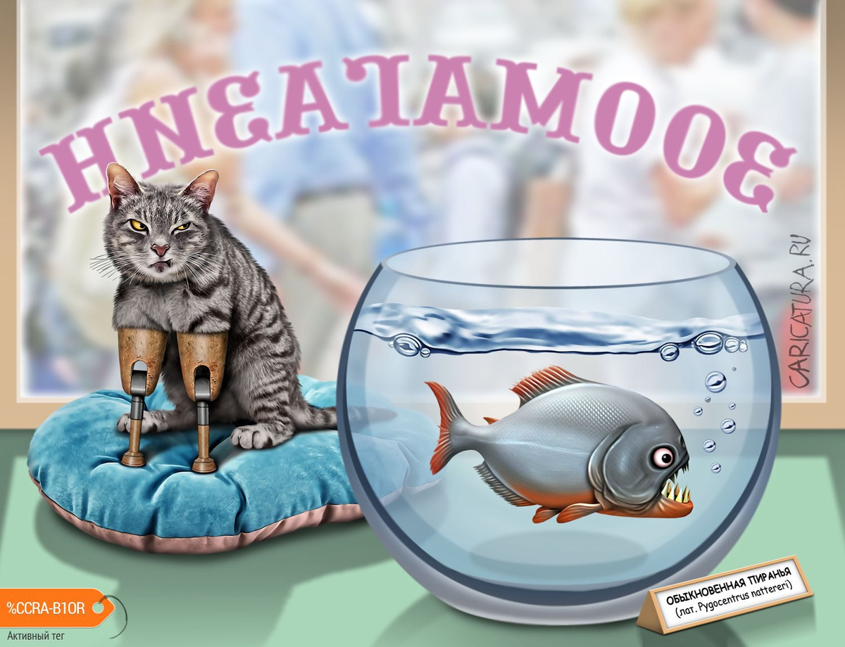 Игорь Конденко, «Обыкновенная пиранья»