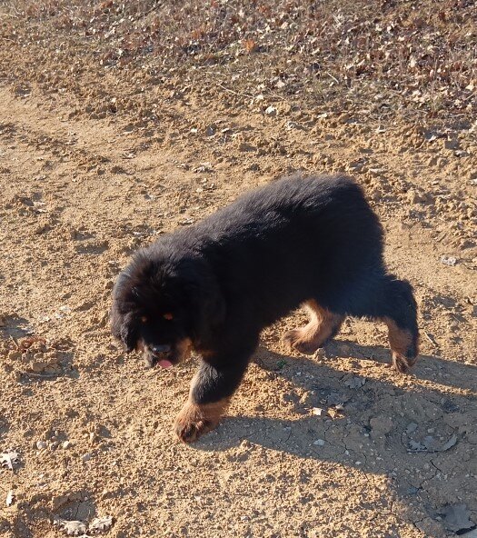 Первые шаги на Крымской земле.