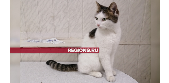 Фото: Александра Никитина