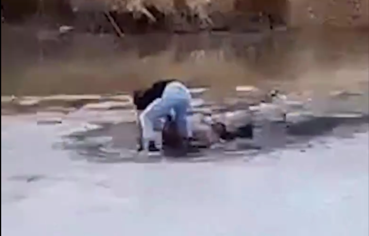    Спасение девочки-подростка из пруда попало на видео в Волгограде