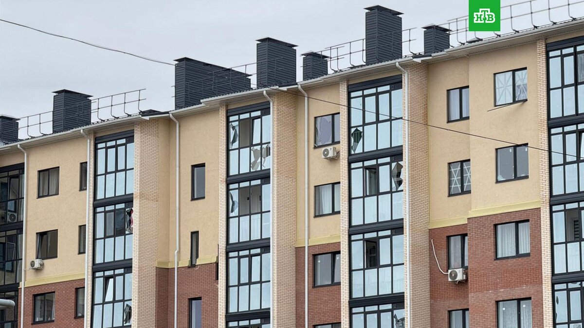    Фото: vvgladkov / t.me