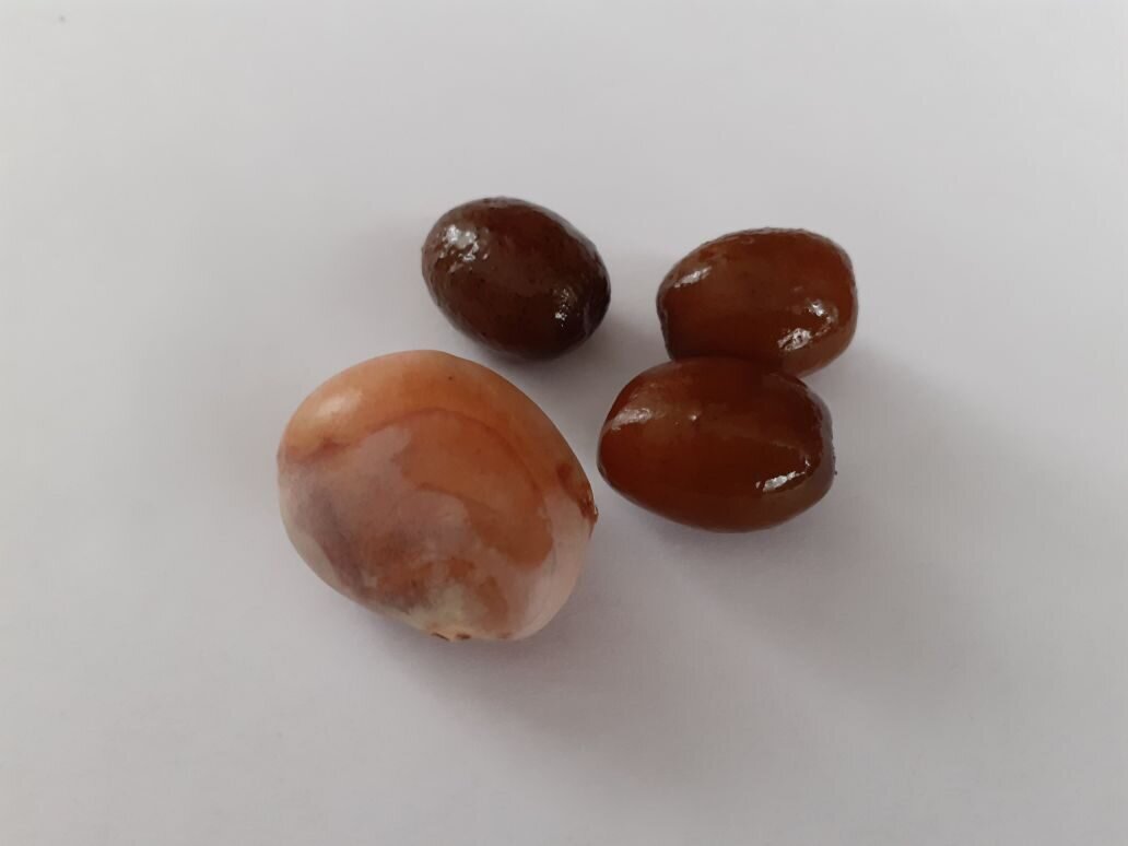 подарочные косточки