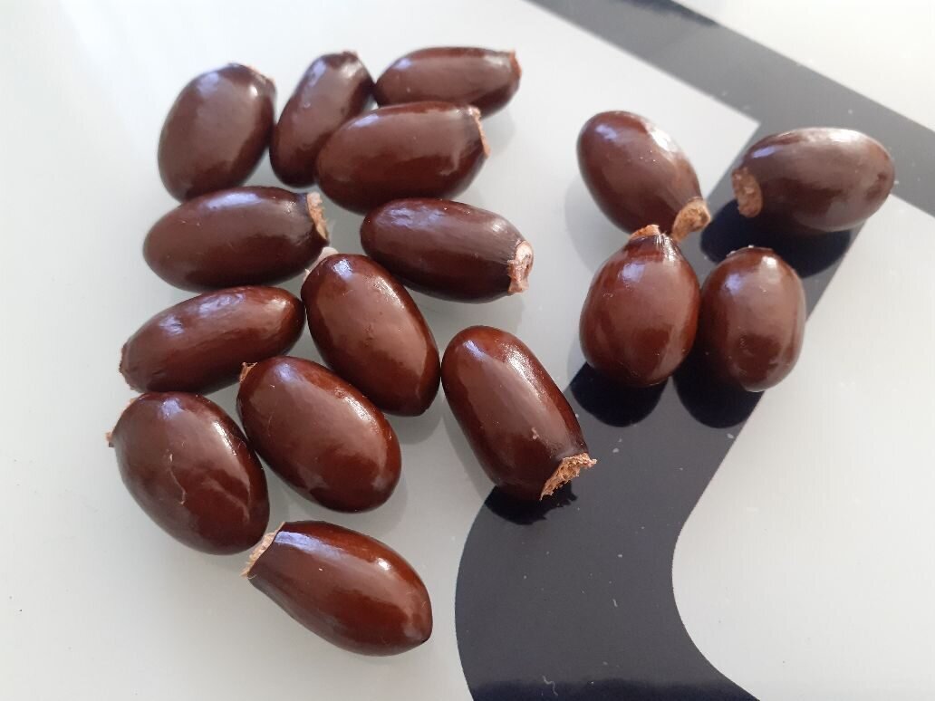 косточки личи