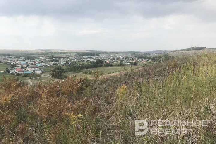 Когда возникают трудности с самостоятельной переработкой зерна, сельхозпроизводители задумываются об уменьшении посевных площадей, а также замене на маржинальные культуры. Сафина Аделия / realnoevremya.ru