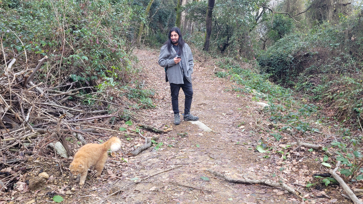 Встретили с Марко кошку в лесу