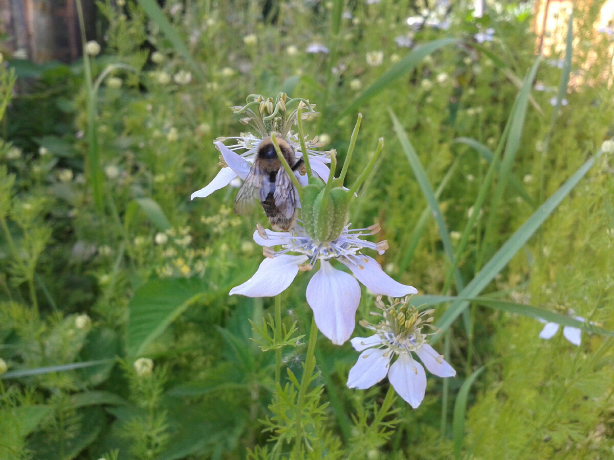 фото из личного архива