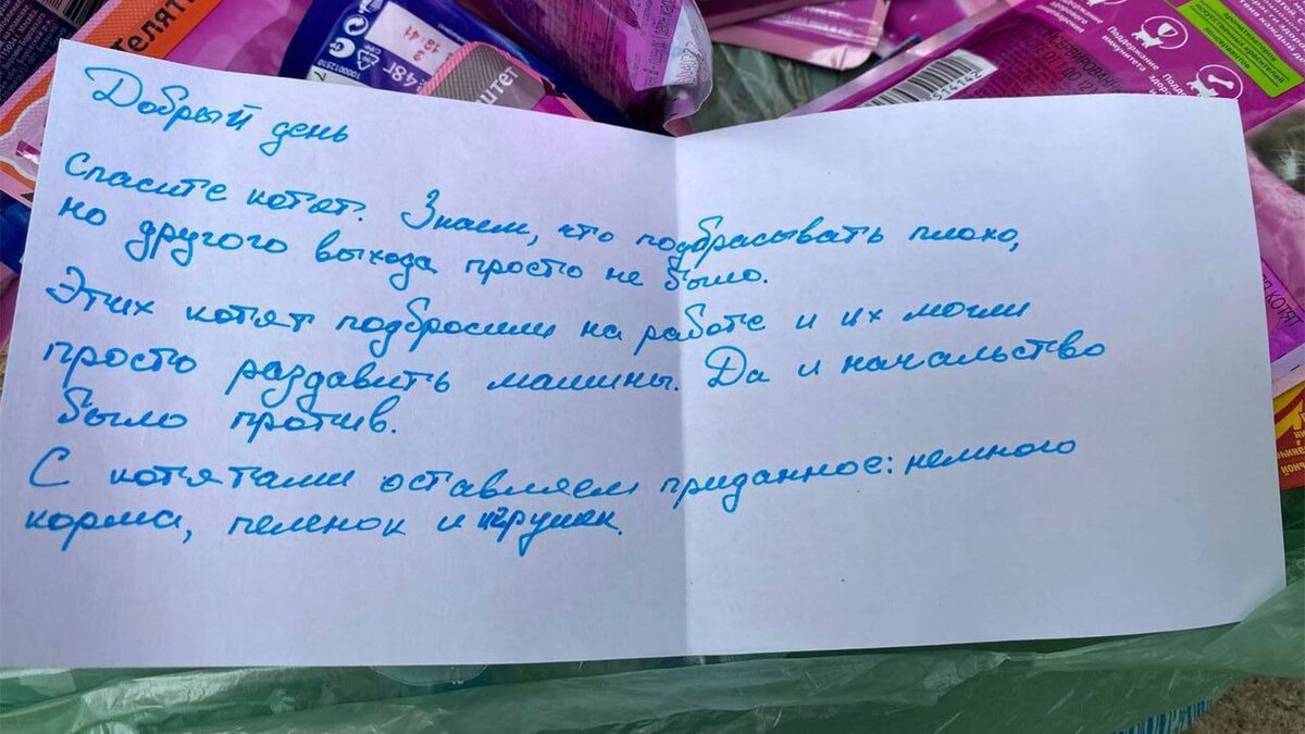 Волонтеры показали «душевные» записки, с которыми им подбрасывают кошек |  Питомцы Mail.ru | Дзен