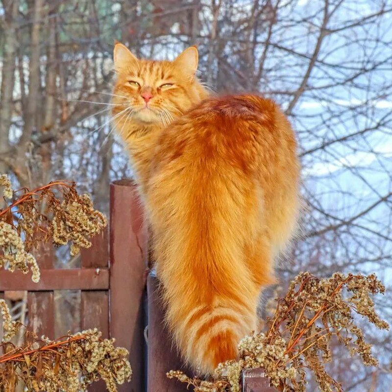 Источник: Яндекс картинки