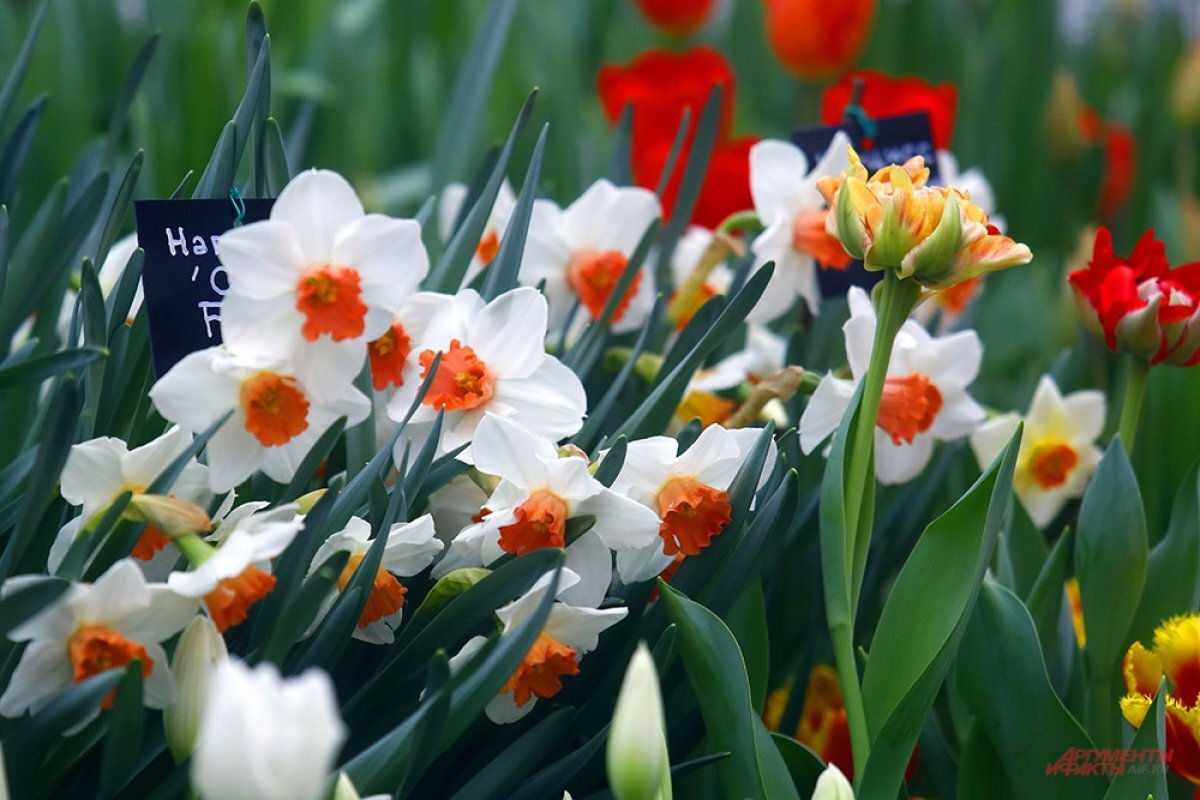    В Нижнем Новгороде метеорологическая весна наступит с 23 марта