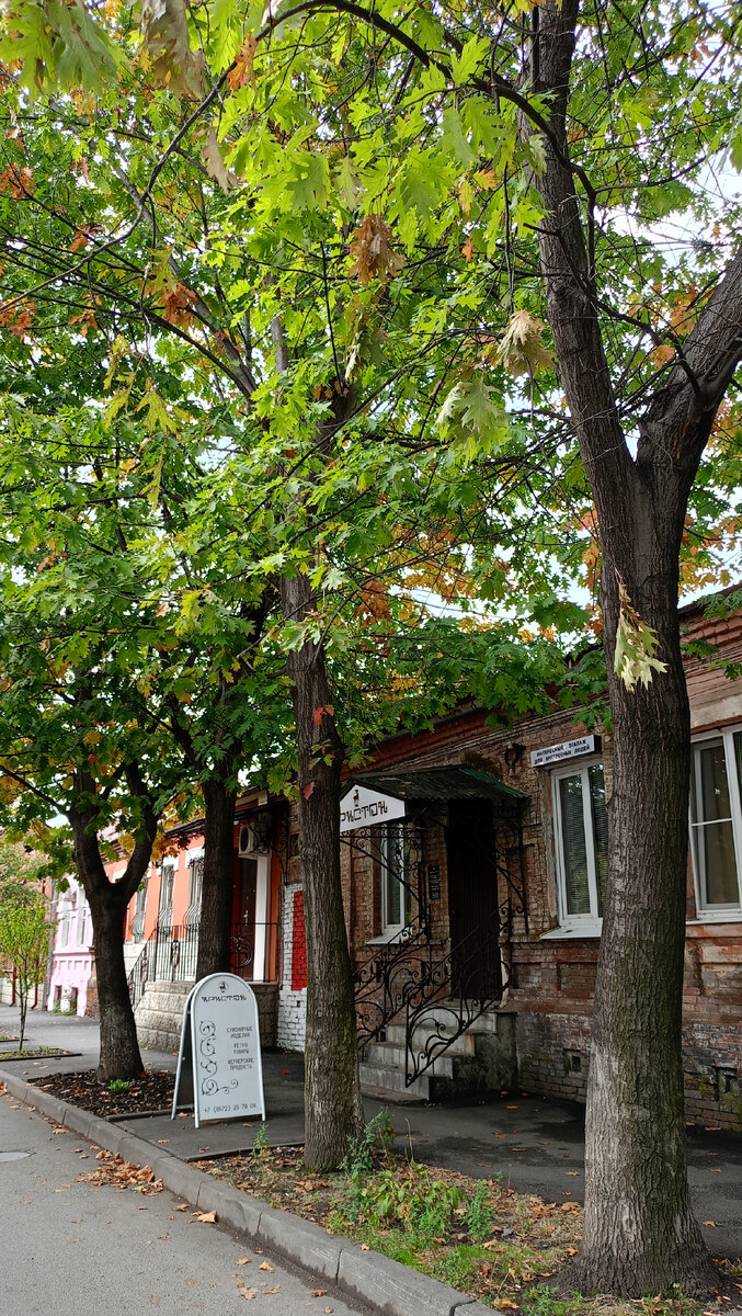 прогноз на 10 дней владикавказ. прогноз на 10 дней владикавказ. климат владикавказа. прогноз на 10 дней владикавказ. погода во владикавказе.