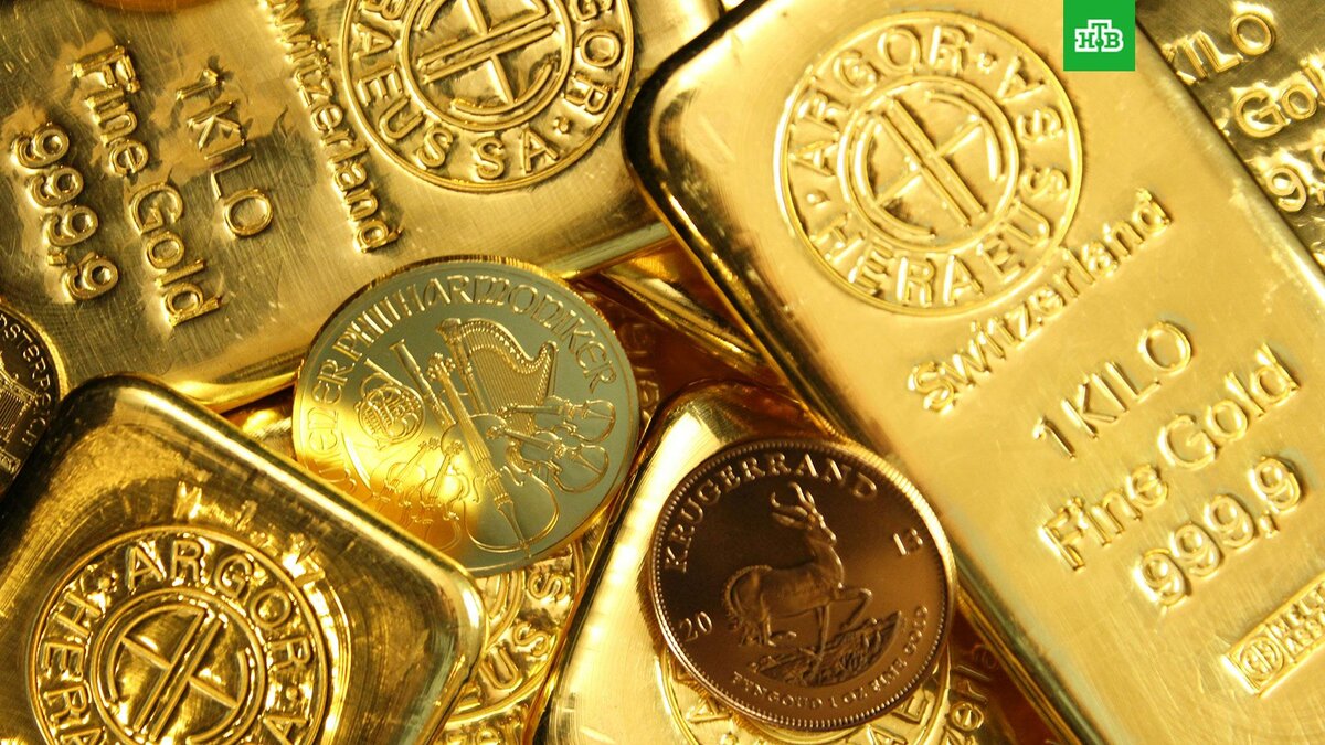    Фото: Zla??ky.cz / unsplash.com