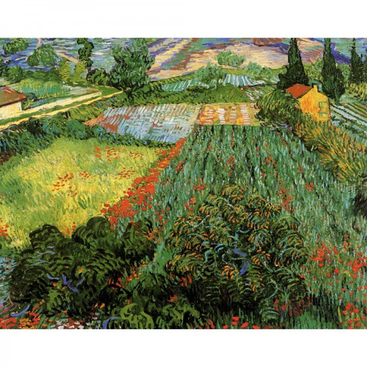 В. ван Гог. "Маковое поле", 1889 г. (Источник - интернет)