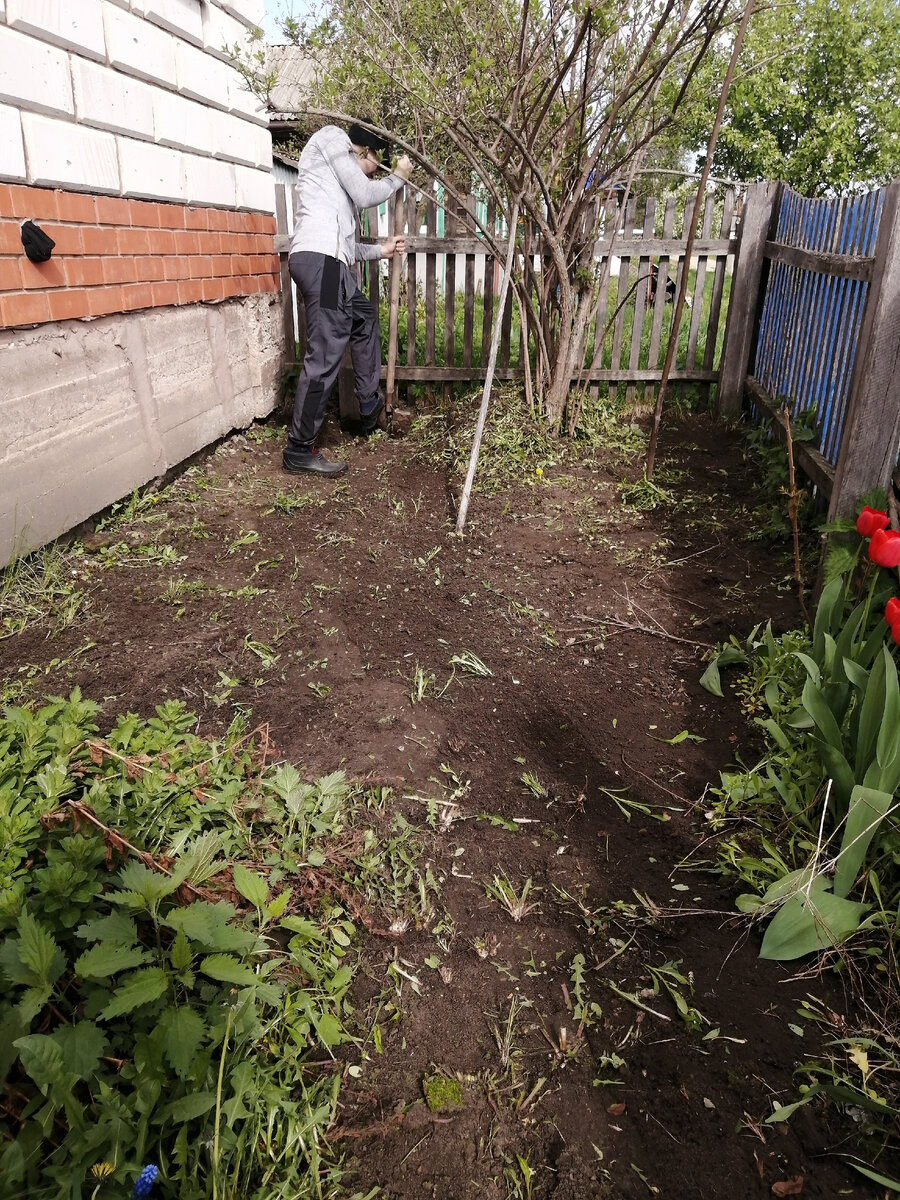 Супруг трудится в палисаднике на наших первых майских в этом доме