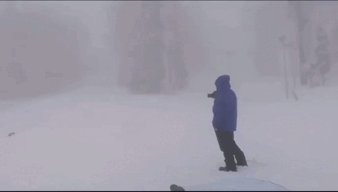 Видео: соцсети