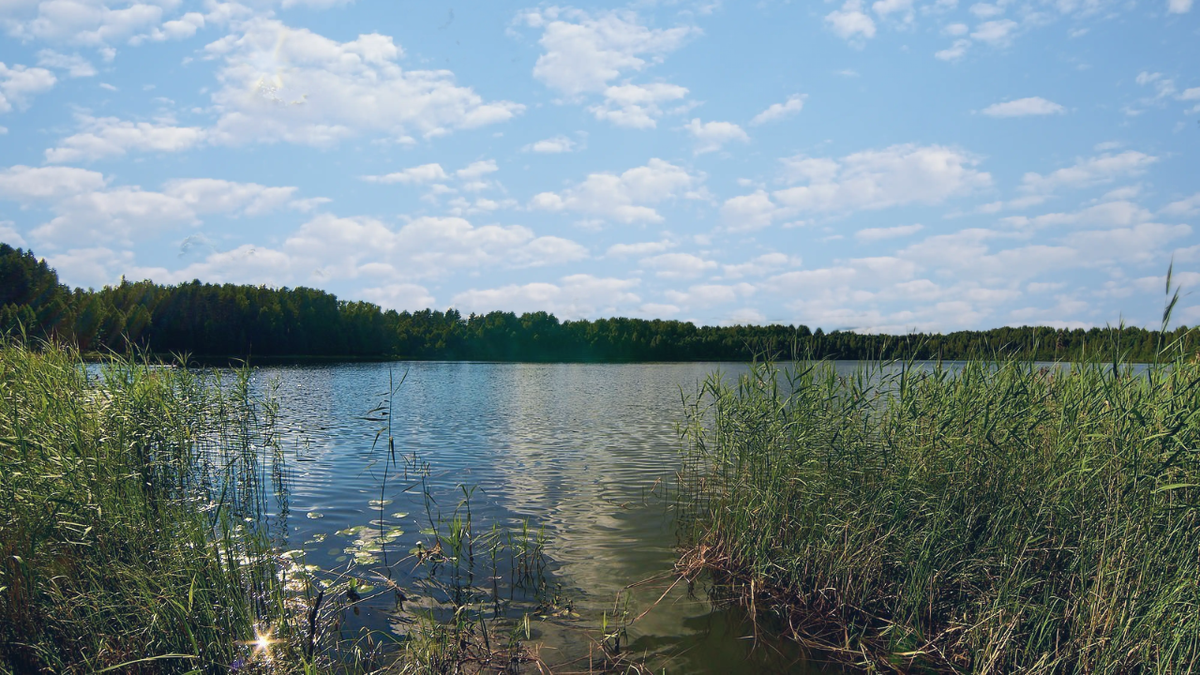 фото озеро Светлояр
