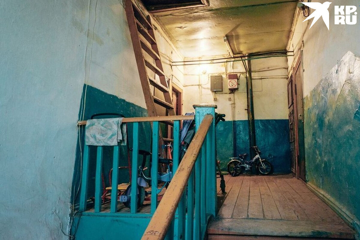 мария бабко порно  Siberian mouse[ Запорожский портал