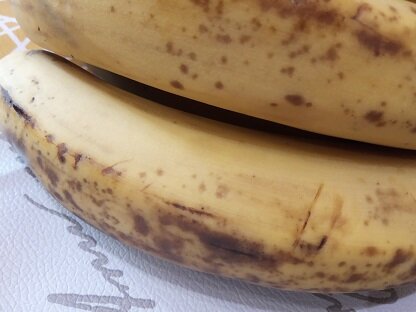 Фотография из личного архива автора