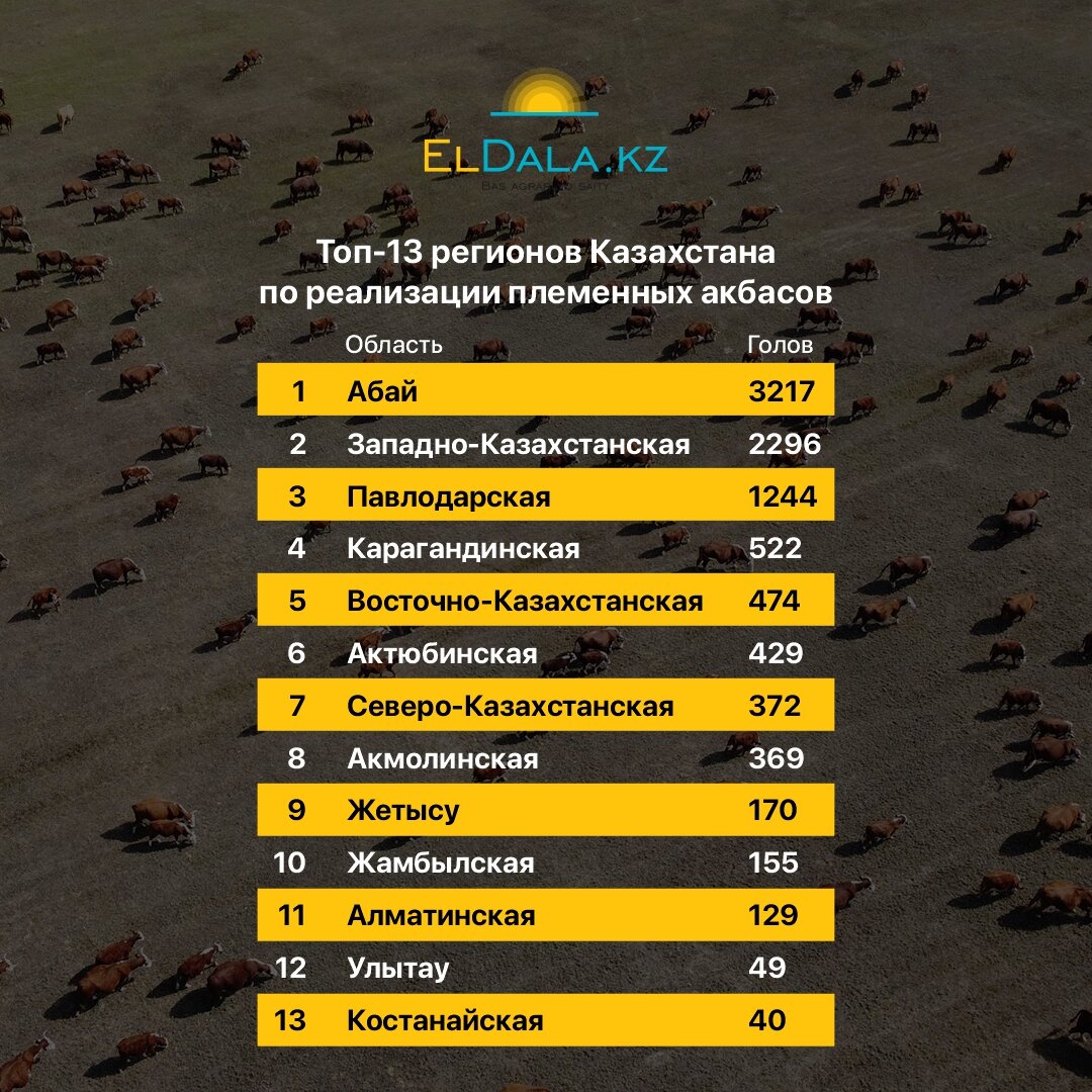 Где купить качественных бычков в Казахстане? | Qazaq Agro | Дзен
