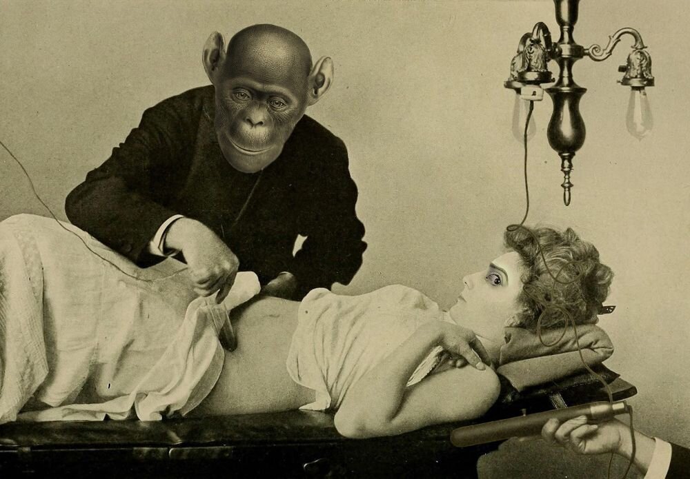 Коллаж Джулии Лиллард / Collage by Julia Lillard/ Перевод текста от автора : "ДНК Джиллард и других. Для тех, у кого грязные мысли, вы доказываете мою точку зрения. Вы ничего не можете с этим поделать, это заложено в вашей ДНК "