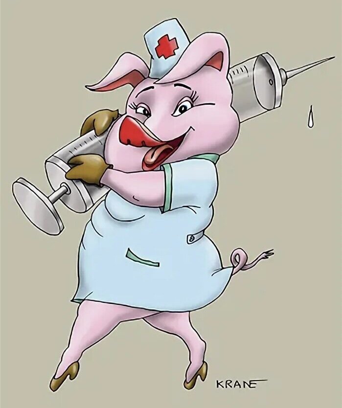 Картинка из свободного доступа 