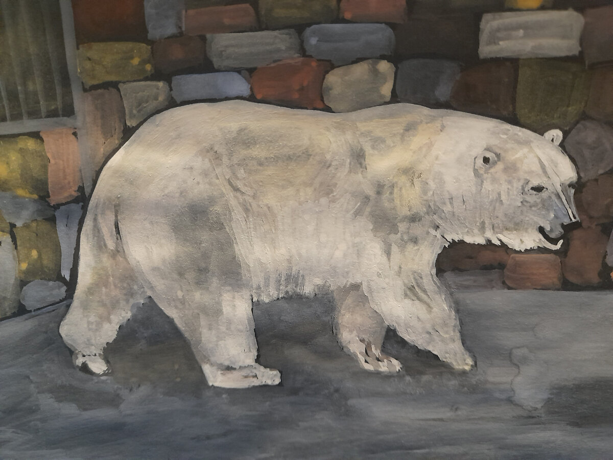 Мишка из Питерского зоопарка