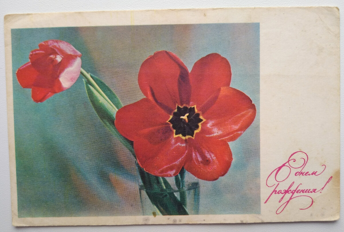 Очень дорогая для меня открытка