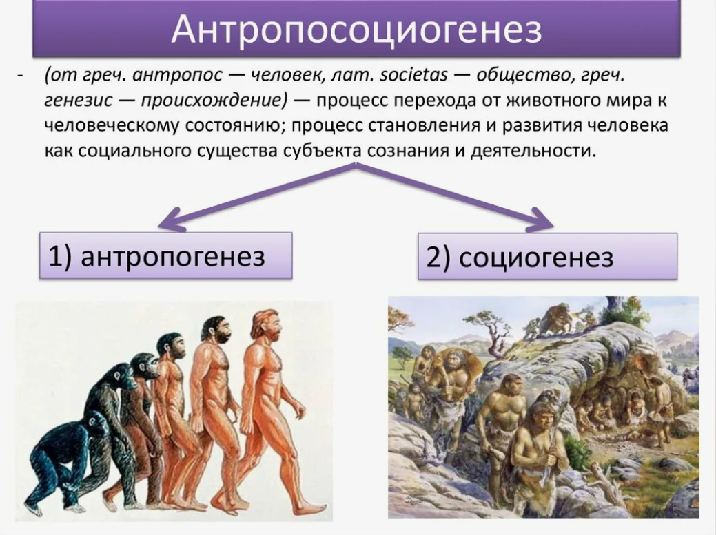 Концепция биологической эволюции. Эволюционная концепция антропосоциогенеза. Антропосоциогенез. Процесс становления человека. Версии происхождения человека.