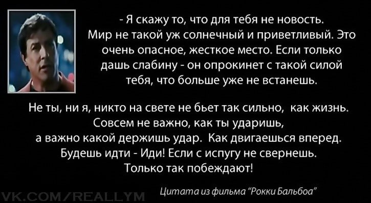 Из этого если вы очень. Цитата из Рокки. Цитаты из Рокки Бальбоа. Рок цитаты. Фраза из Рокки.