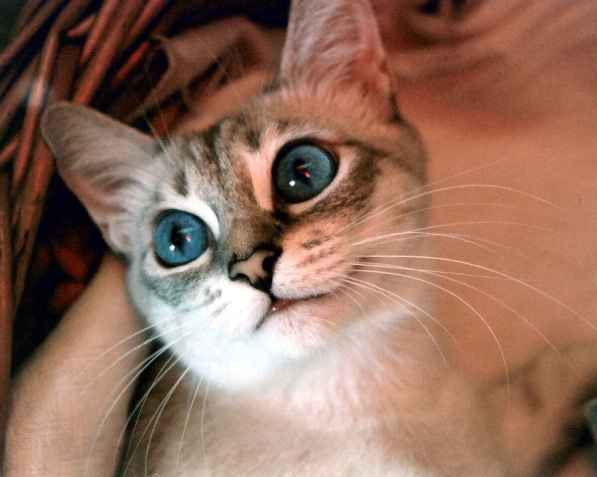 Вы хотите, чтобы у всех поколений были такие глаза? Делайте все правильно!