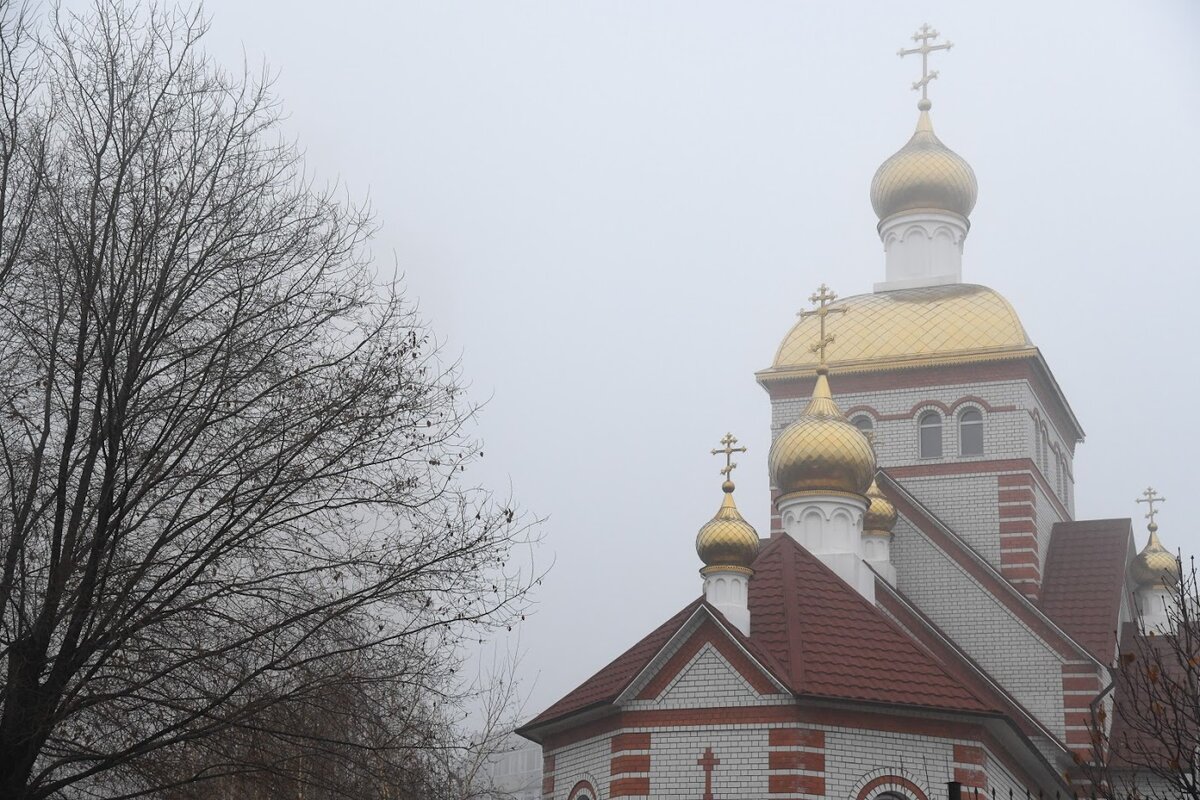 © Фото: ИД «Волгоградская правда» / Сергей Григоренко / архив