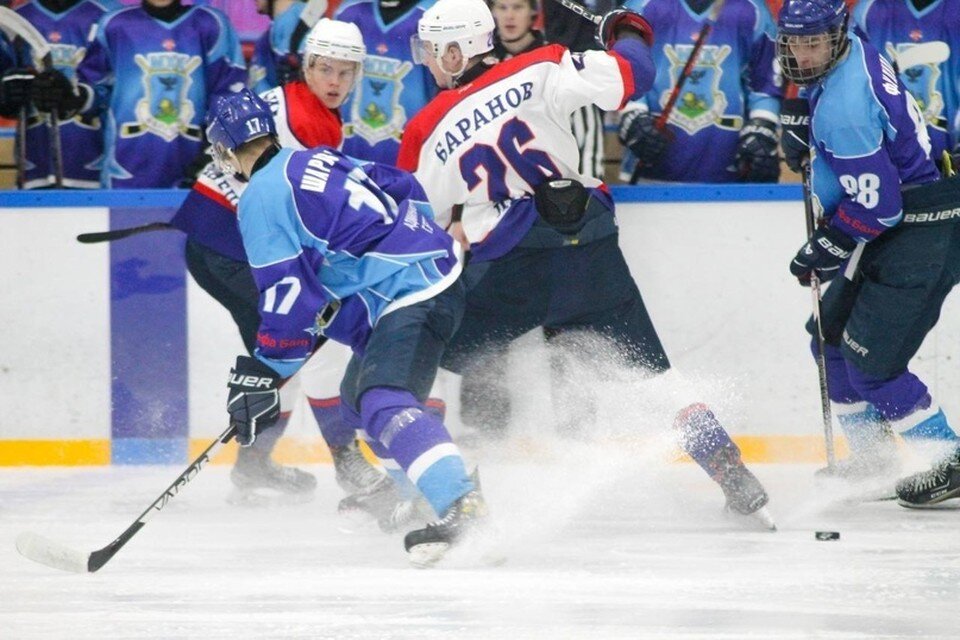    Фото со страницы МХК "Липецк" в VK.