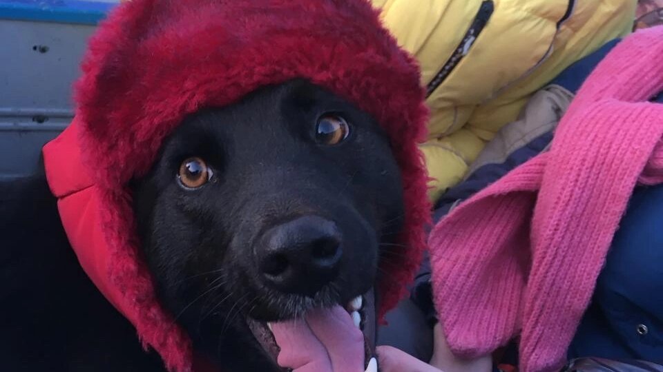 Счастье Азы длится 6 лет. Одна из первых она уехала домой