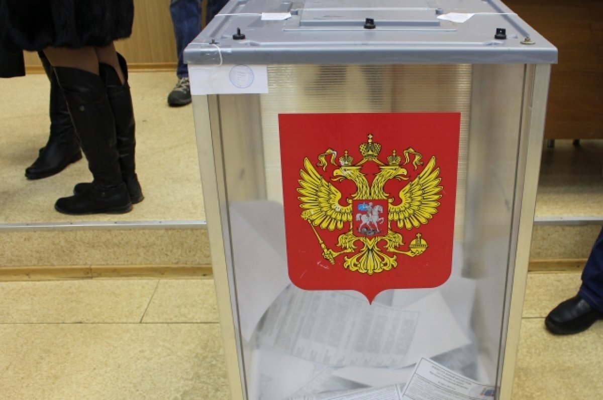    Эксперт Гилл: США стоит перенять несколько вещей у избирательной системы РФ