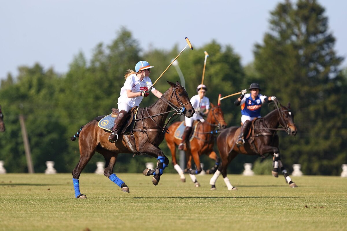 Как называется спорт на лошадях