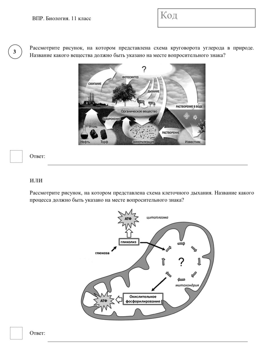 Впр 7 класс какие