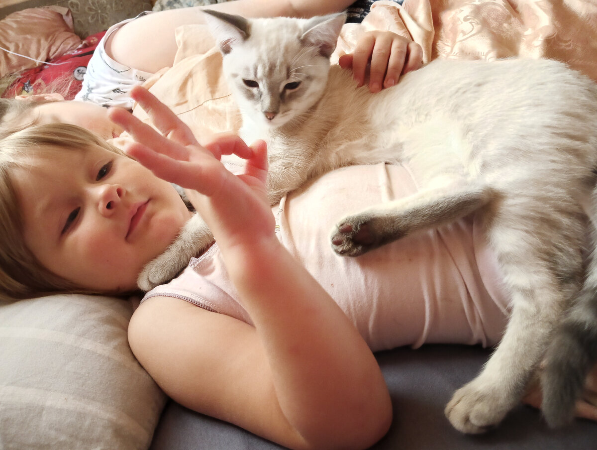 Пока у нас только два кота и собака. 