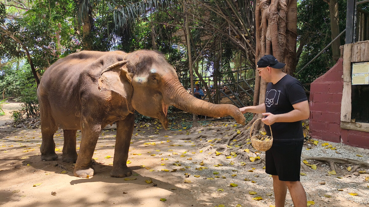 Синус? Не в курсе, лучше покормлю слониху бананом. Вычислите синус хобота, кто в курсе, что за синус.