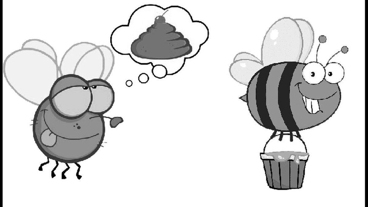 Из открытых источников Яндекса.