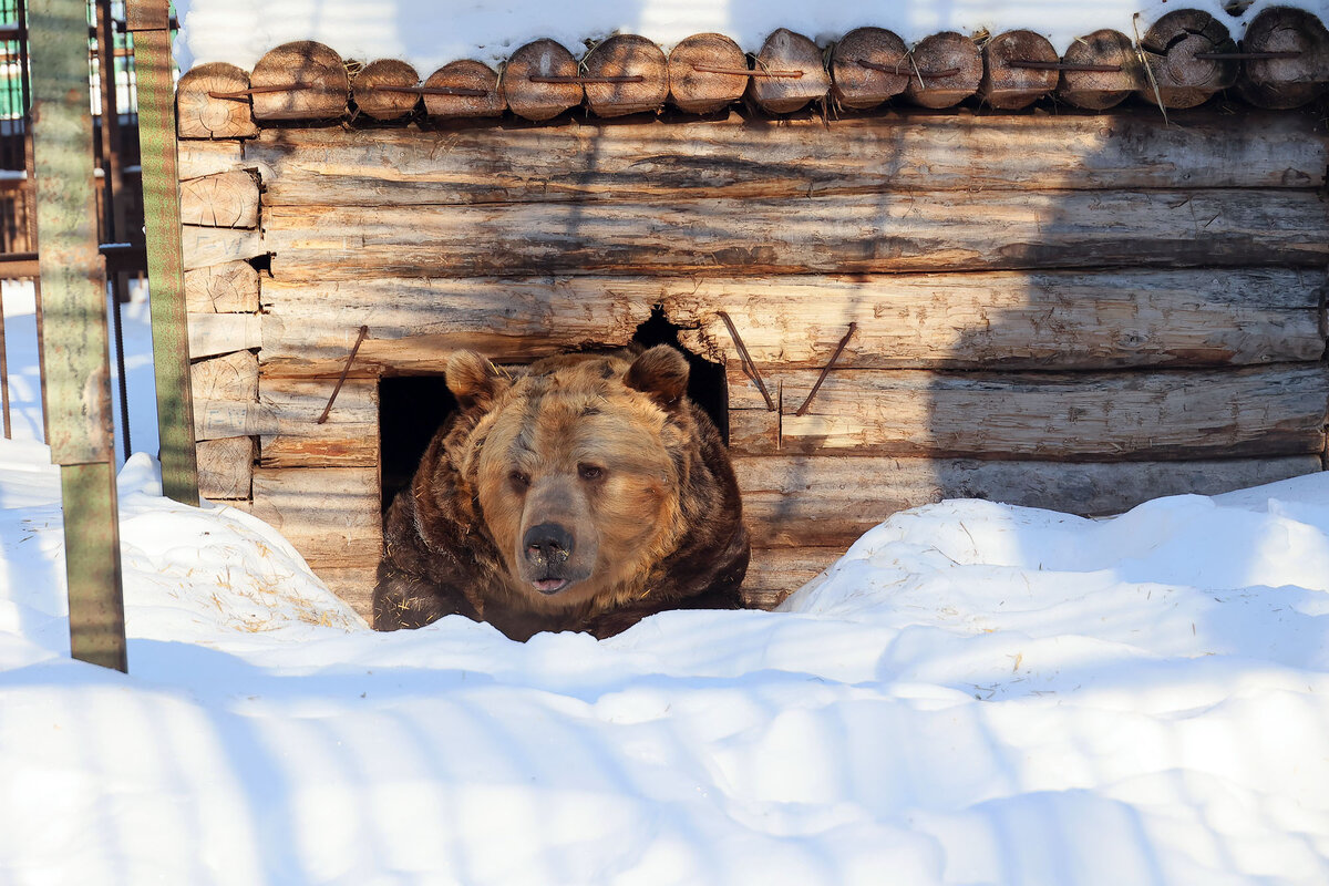 Фото Александра ДАНИЛОВА.