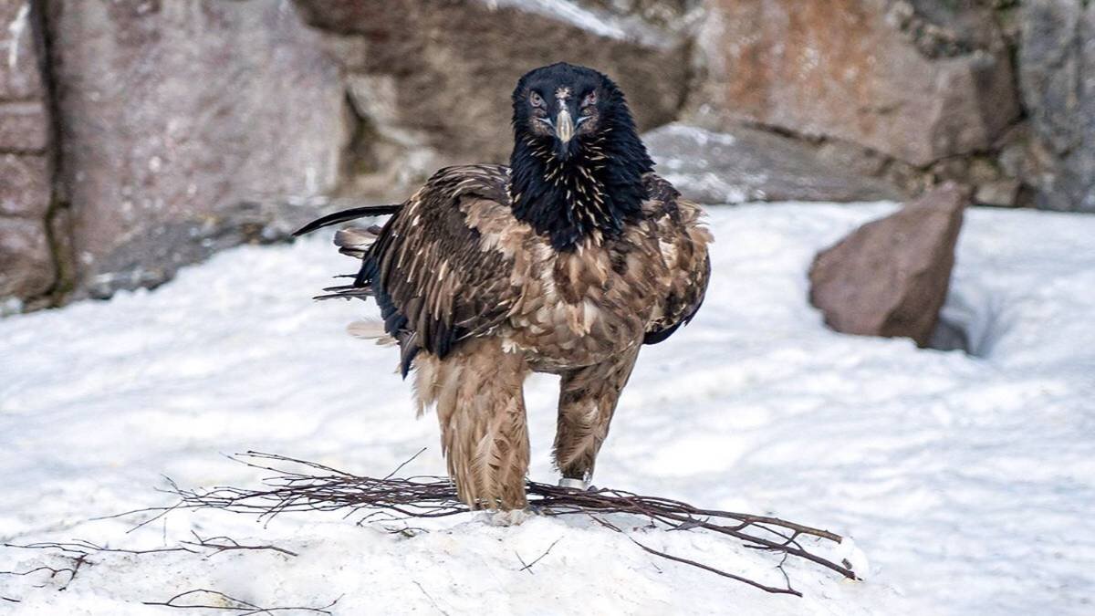    Фото: Пресс-служба Департамента культуры города Москвы
