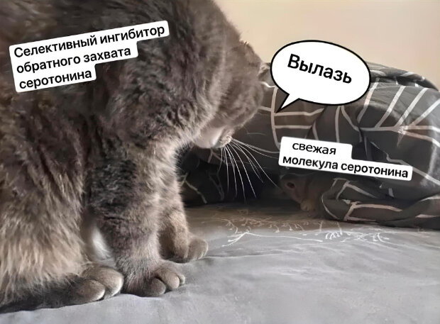 https://pikabu.ru/story/top_dobavok_dlya_serotonina_i_kak_oni_rabotayut_10444324