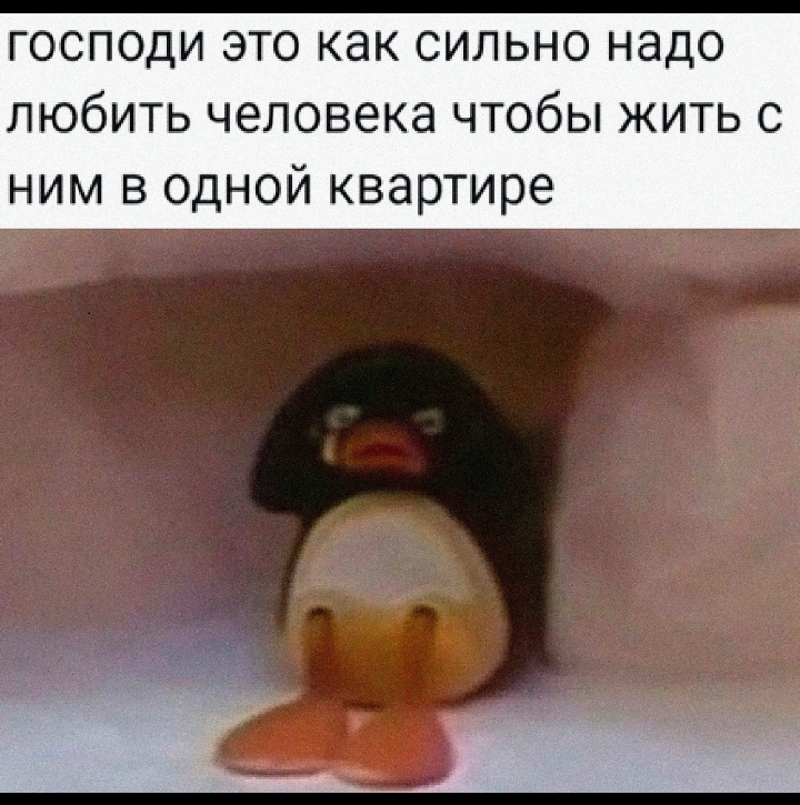 задачи пятого класса впр. решение дроби 12:3 3/5. 8 7 3 7 5 14 впр. решение:. задача с плитками по математике 5 класс.