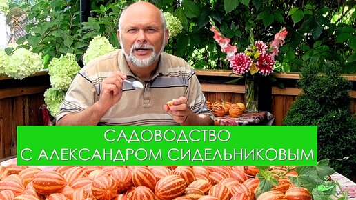 Садоводство с Александром Сидельниковым 10 выпуск