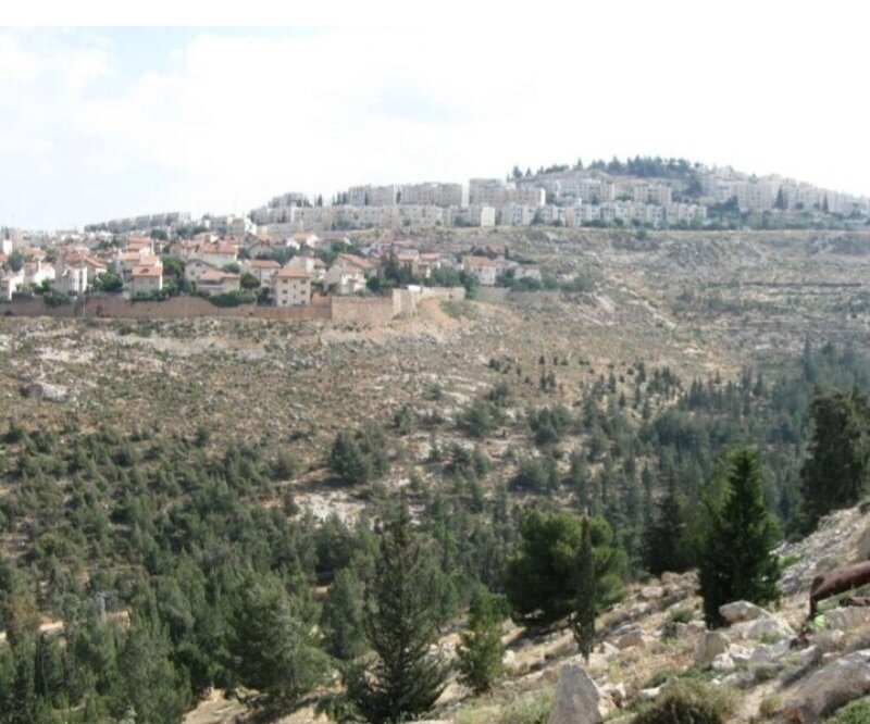 Вон внизу та самая тропинка..