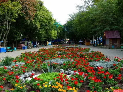 Парк Поддубного.