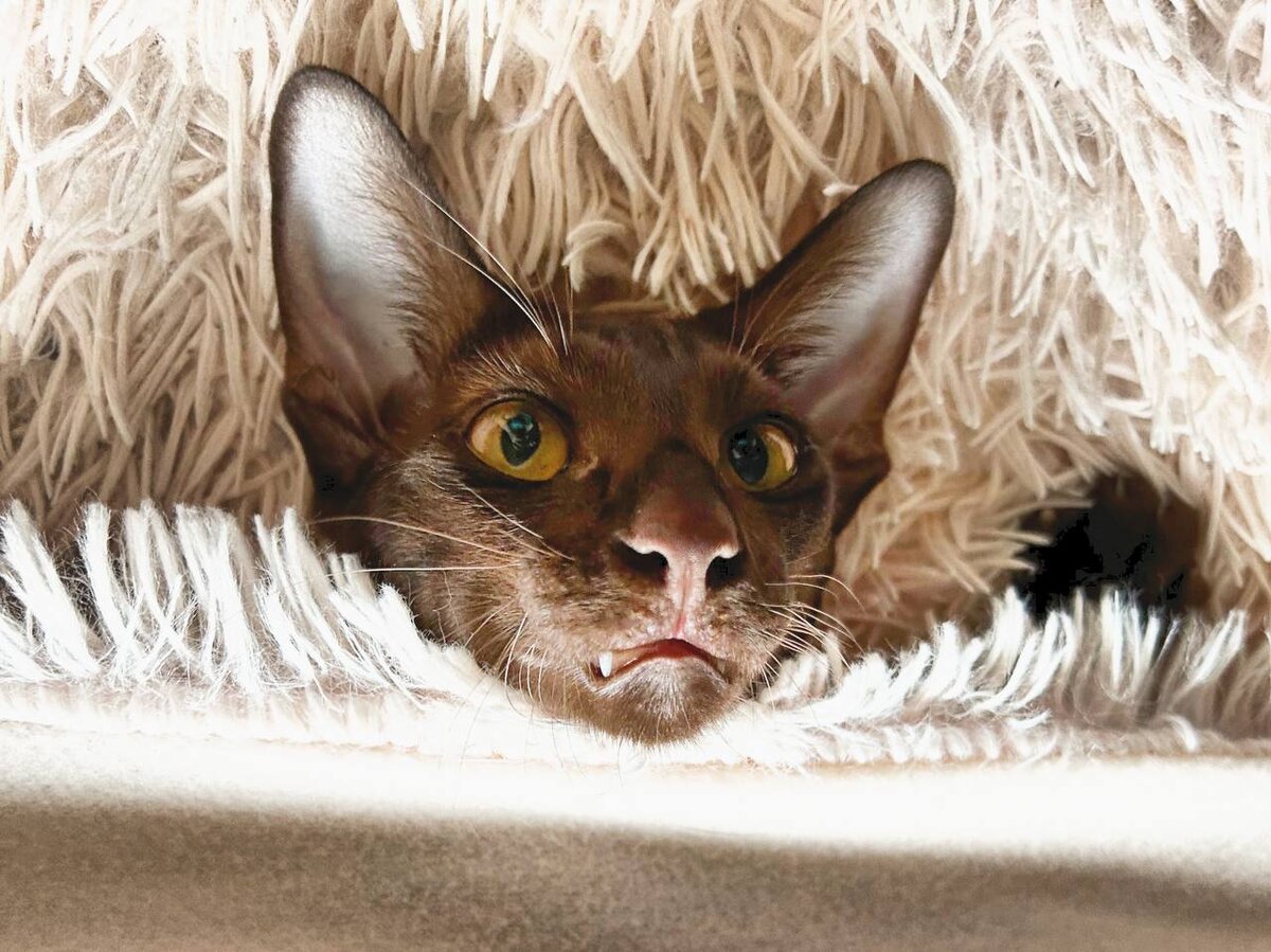 Моя Клёпа согласилась побыть моделью