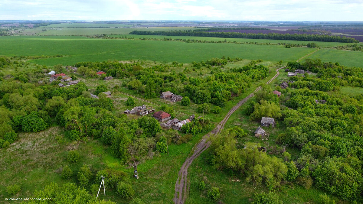 (Республика Мордовия, Темниковский район) Кривошеево впервые упоминается в 1869 года как казённая и владельческая деревня, состоящая из 27 дворов, название которой произошло от фамилии владельца.