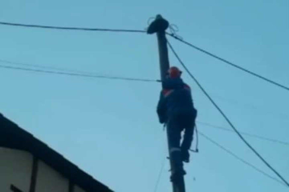    Кот около двух дней просидел на столбе в Хомутово. Фото: Свет 38