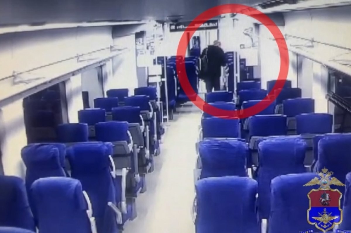    На видео попал момент кражи телефона в тверской электричке